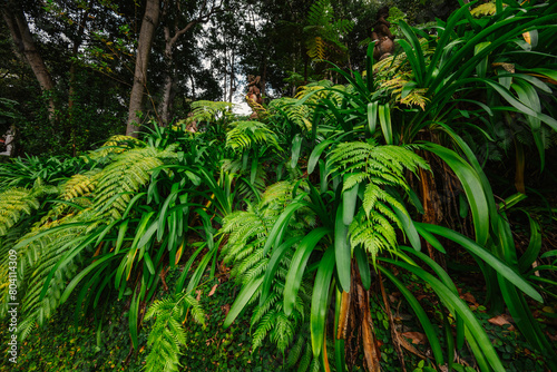 Monte Palace  Tropical Garden with Waterfalls  Lakes and traditional buildings above the city of Funchal