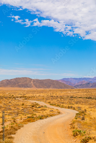 Arid landscape in the Richtersveld National Park