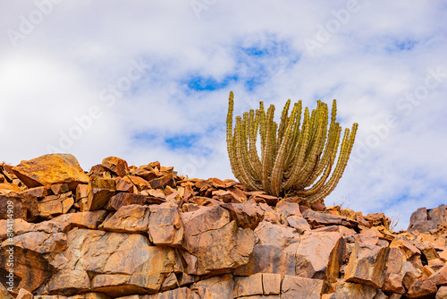 Arid landscape in the Richtersveld National Park