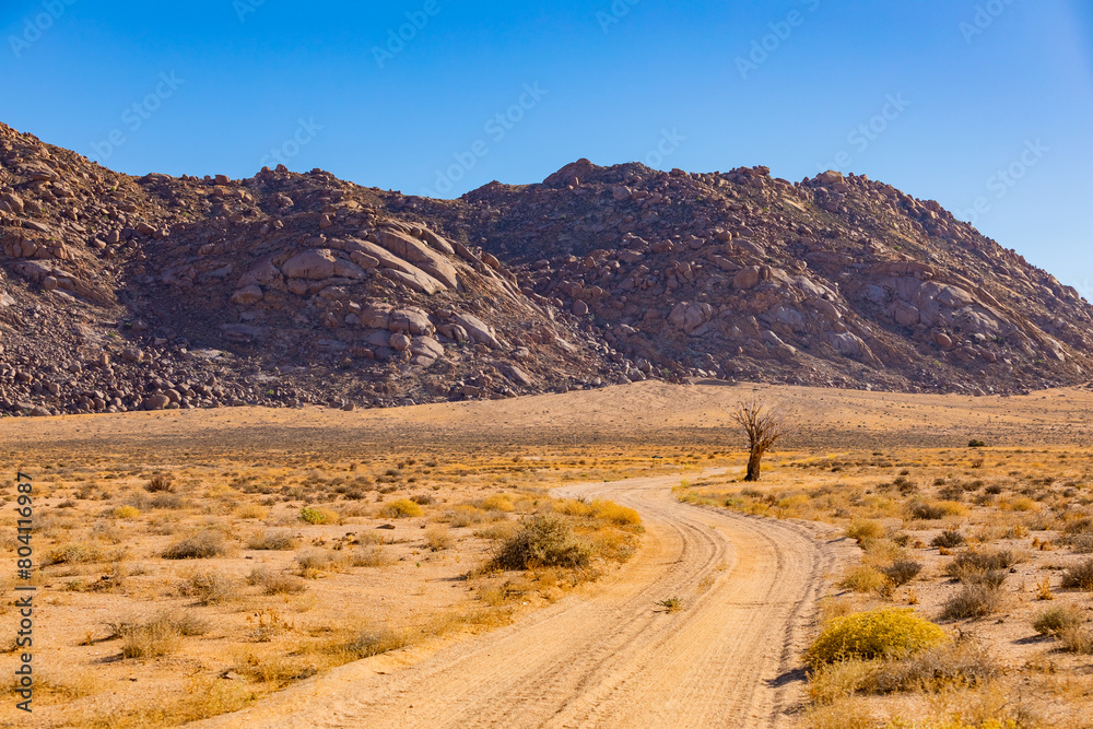 Arid landscape in the Richtersveld National Park Arid landscape in the Richtersveld National Park
