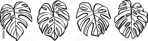 Monstera leaf vector clip art set, isolated hand drawn tropical leaves,ink line art doodles