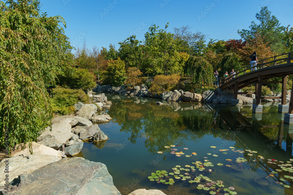 Scenic  pedestrian bridge over the large lake Oike in Japanese garden. Public landscape Galitsky Park. Krasnodar, Russia - September 20, 2023