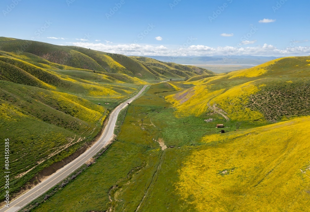 Country road on a ranch and hills during the superbloom in Carrizo National Monument, Santa Margarita, California, United States of America.