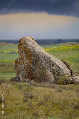 Boulders and grassland covered in spring flowers. Carrizo National Monument, Santa Margarita, California, United States of America.