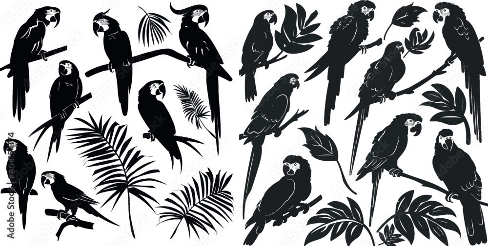 Parrot silhouettes