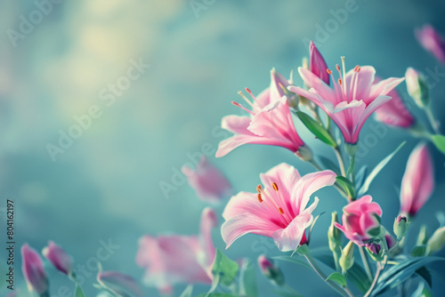 Beautiful bouquet of flowers. Holiday Background with flowers