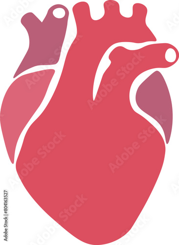 Illustration of human heart organ with aorta and arteries. flat vector color icon for medical health. anatomy. vector illustration for doctors, medical students and nurses.