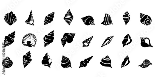 Set of black seashells on a white background.