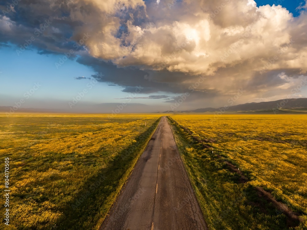 Rural road, majestic clouds and yellow spring flowers during the spring superbloom. Carrizo National Monument, Santa Margarita, California, United States of America.