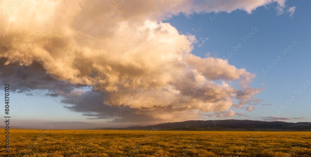 Rural road, majestic clouds at sunset and yellow spring flowers during the spring superbloom. Carrizo National Monument, Santa Margarita, California, United States of America.