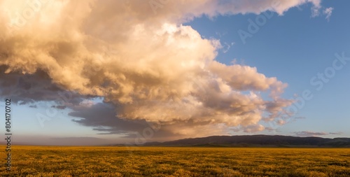 Rural road, majestic clouds at sunset and yellow spring flowers during the spring superbloom. Carrizo National Monument, Santa Margarita, California, United States of America.