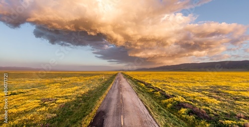 Rural road, majestic clouds and yellow spring flowers during the spring superbloom. Carrizo National Monument, Santa Margarita, California, United States of America. photo