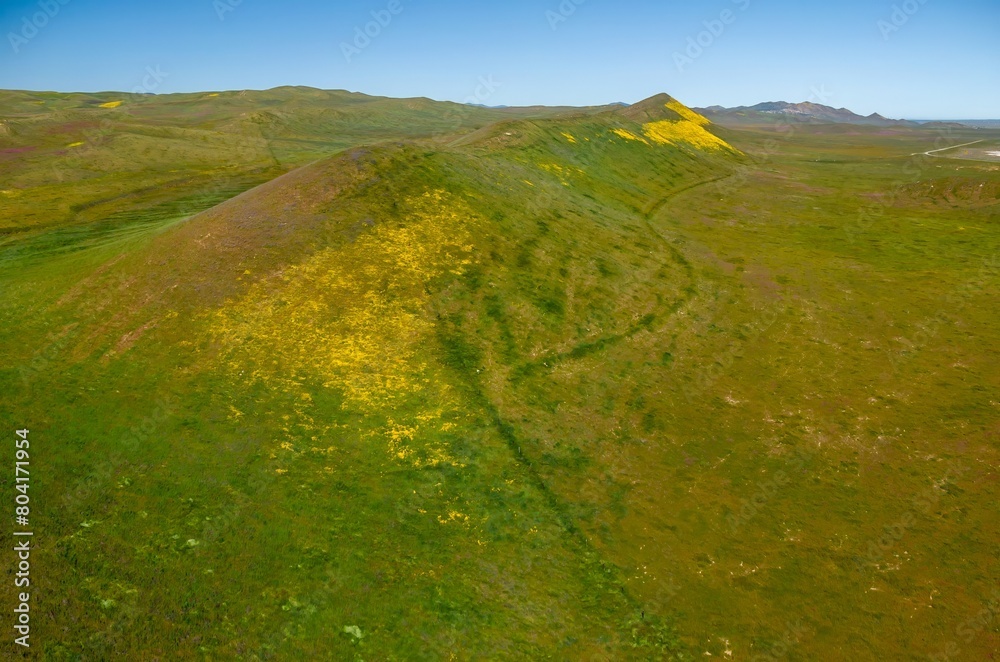 Hills during the superbloom in Carrizo National Monument. Hills are covered with bright yellow flowers. Santa Margarita, California, United States of America.