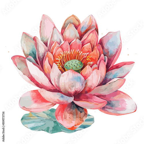 Watercolor painting of a lotus flower, isolated on a white background, lotus vector, drawing clipart, Illustration Vector, Graphic Painting, design art, logo
