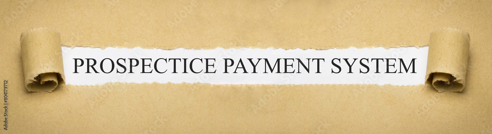 Prospective Payment System Prospective Payment System