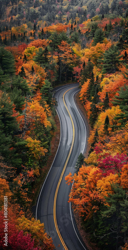 The mountain road as it cuts through a forest of trees displaying vibrant autumn colors, road weaving through the landscape. Generative AI.