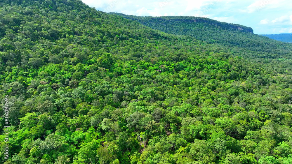 Pha Taem, seen from a drone, showcases ancient rock formations, revealing Earth's geological history through its stratigraphy and erosion patterns. Pha Taem National Park, Thailand. Travel concept.
Pha Taem, seen from a drone, showcases ancient rock formations, revealing Earth's geological history through its stratigraphy and erosion patterns. Pha Taem National Park, Thailand. Travel concept.
