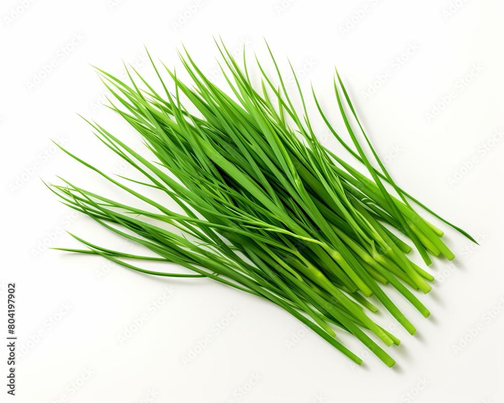 A bunch of fresh chives isolated on white background. A bunch of fresh chives isolated on white background.