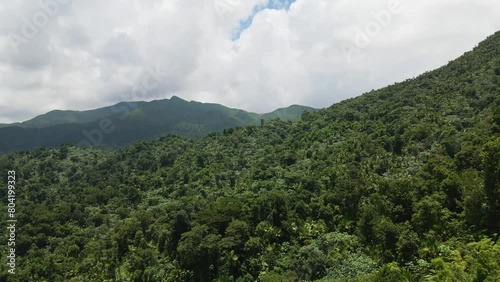Above the Treetops of El Yunque National Forest, Puerto Rico
