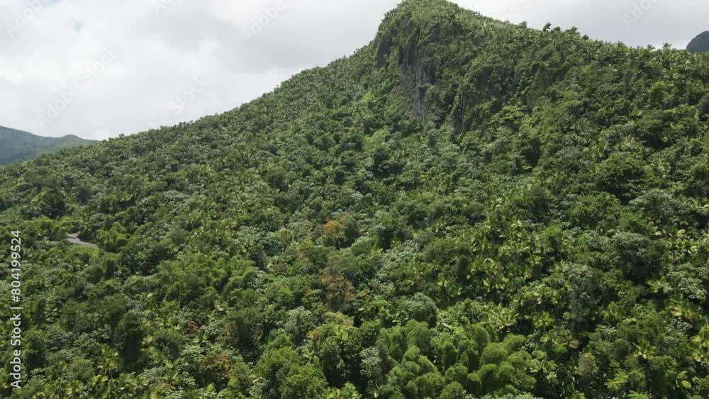 El Yunque’s Vibrant Greenery Captured by Drone El Yunque’s Vibrant Greenery Captured by Drone