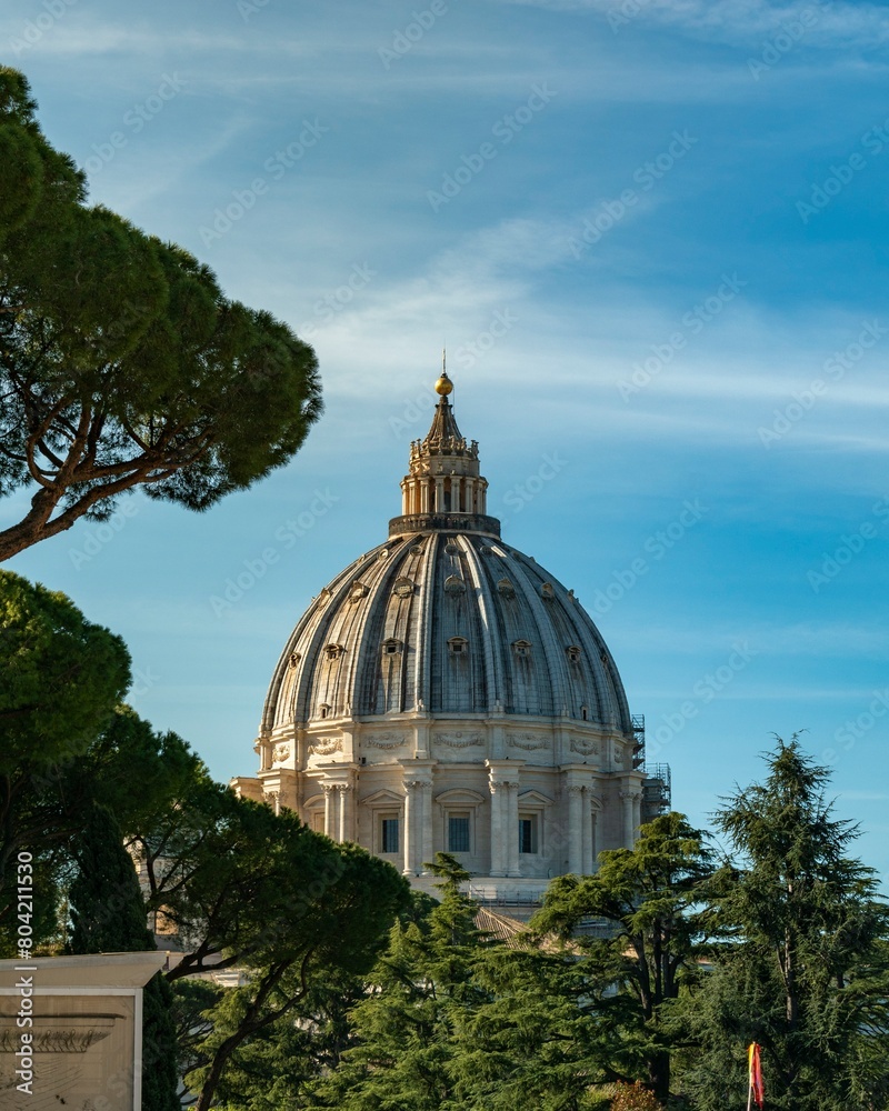 Fototapeta premium St. Peter's Basilica Dome Amidst Greenery