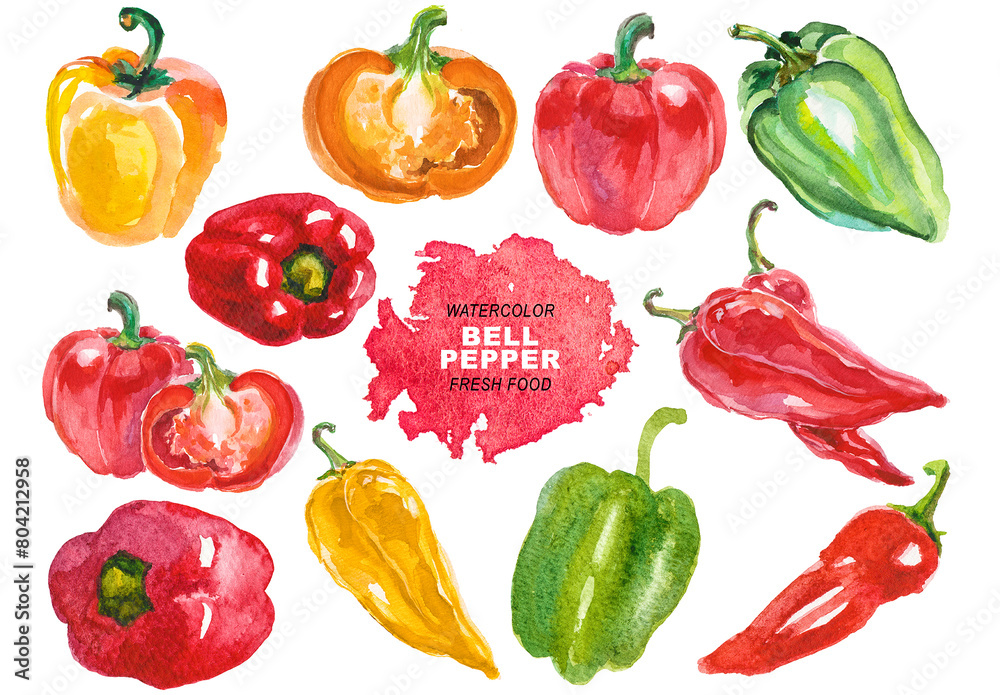 Watercolor painted bell pepper clipart. Hand drawn fresh food design ...
