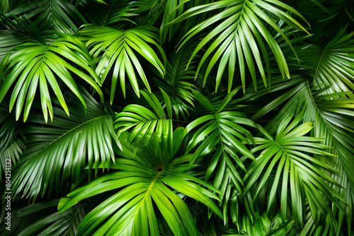 Tropical green palm leaves. Close-up. Concept  abstract natural background  background textures. Generative AI.