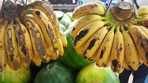 Close up of ripe Latundan bananas, Tundan, Silk banana, Pisang raja sereh, Manzana banana, or Apple banana hanged on supermarket shelf. photo