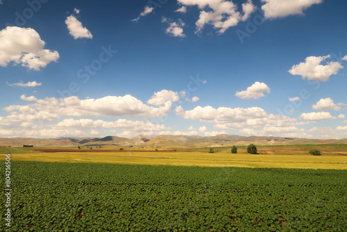 Spectacular landscpae seen on the train ride in the Eastern Express, Dogu Ekspresi from Kars to Ankara, yellow and green fields in front of mountains, clouds on a blue sky are throwing shadows, Turkey