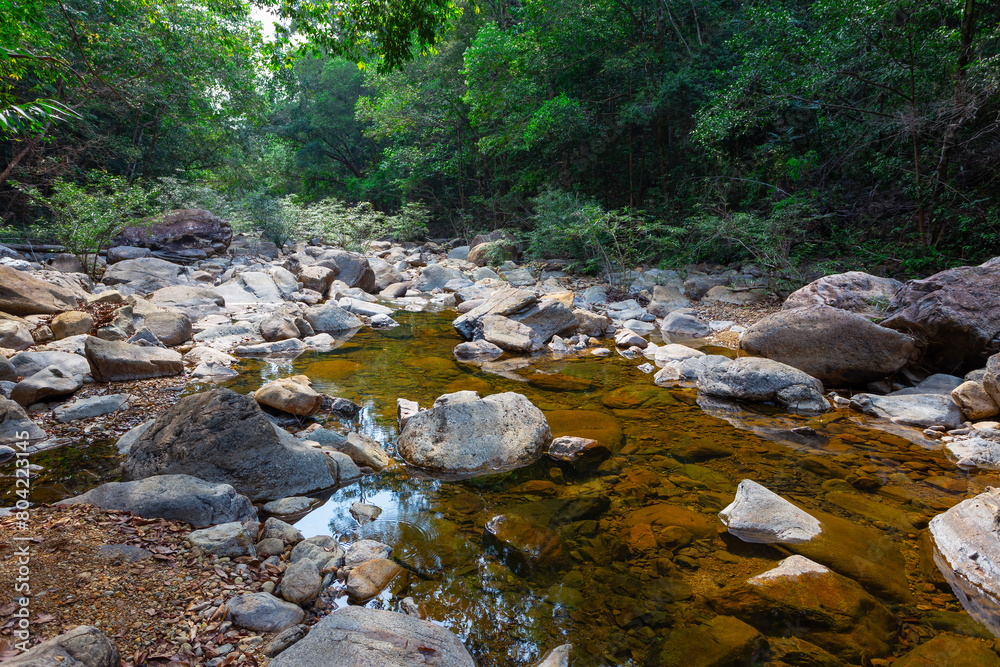 Stream in the tropical jungles of South East Asia Stream in the tropical jungles of South East Asia