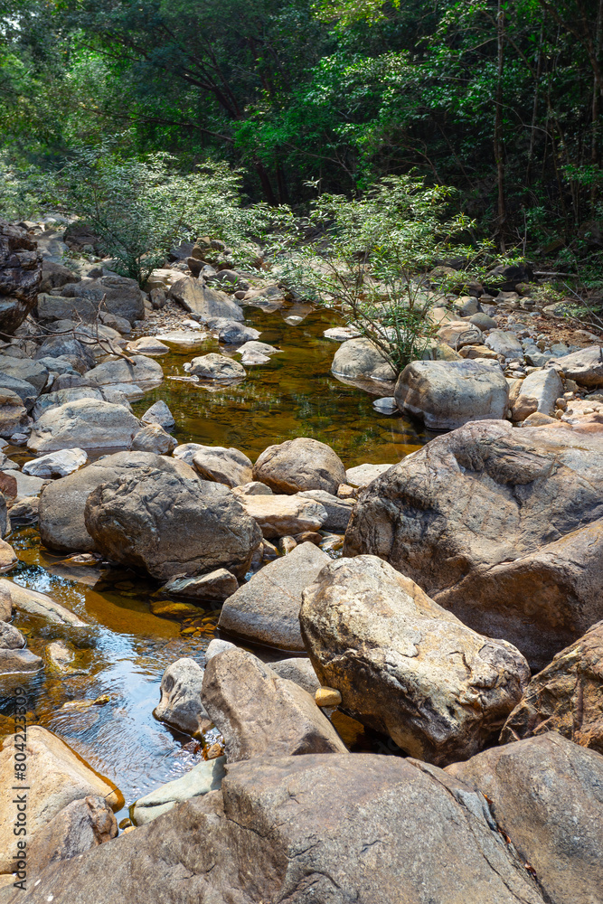 Stream in the tropical jungles of South East Asia Stream in the tropical jungles of South East Asia