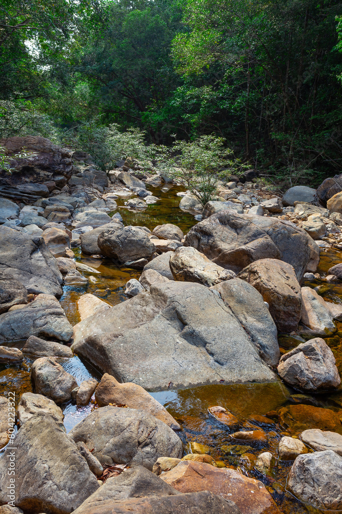 Stream in the tropical jungles of South East Asia Stream in the tropical jungles of South East Asia