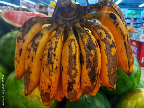 Close up of ripe Latundan bananas, Tundan, Silk banana, Pisang raja sereh, Manzana banana, or Apple banana hanged on supermarket shelf. photo