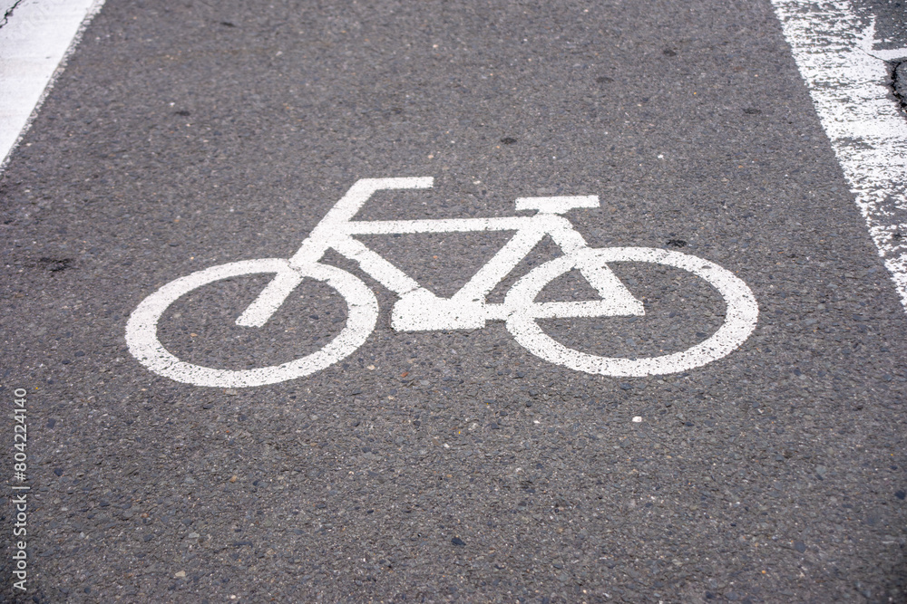 自転車横断帯の路面表記 自転車横断帯の路面表記