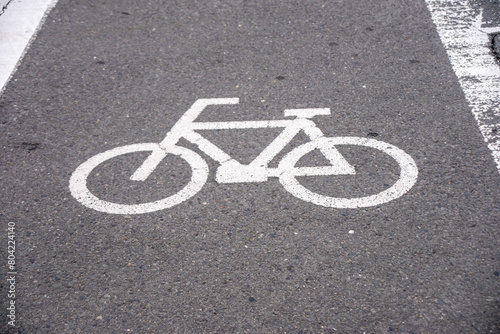 自転車横断帯の路面表記