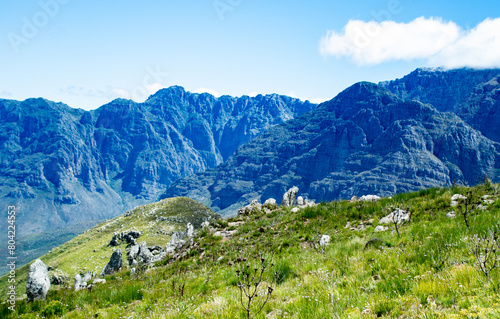 alpine meadow in the mountains