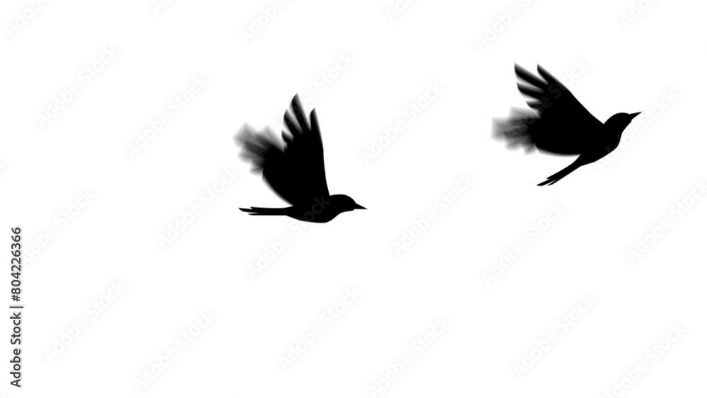 Silhouetted birds in mid-flight against a pure white background. Silhouetted birds in mid-flight against a pure white background.