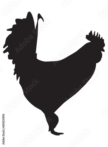 Chicken, rooster silhouette icon isolated on transparent. Vector illustration.