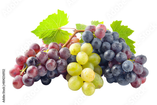 Grapes on Vine On Transparent Background.