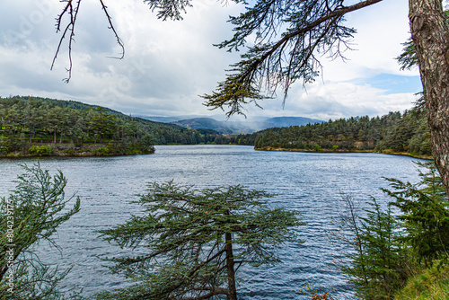 Lac du Ternay, Parc Naturel Régional du Pilat, France photo