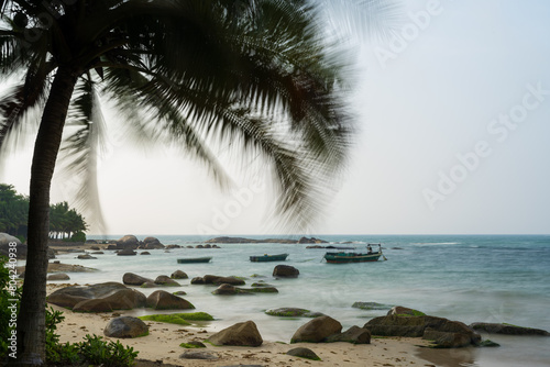 beach with coconut tree swayed by the wind