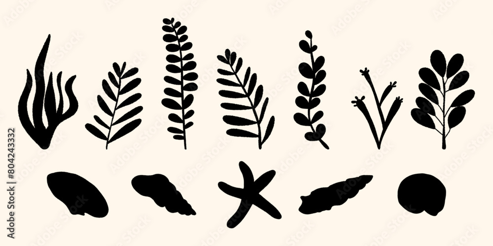 Set of an ocean plants, an underwater flora, a seaweed and a seashells. Vector nature silhouettes.