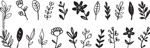 Vector branches and leaves. Hand drawn floral elements. Vintage botanical illustrations.