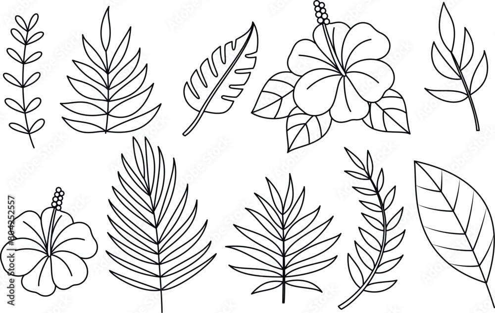 Set of hibiscus flower and wild leaf coloring page for kids and adults. Summer outline illustration