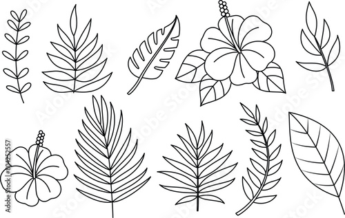 Obraz na płótnie Set of hibiscus flower and wild leaf coloring page for kids and adults. Summer outline illustration w salonie