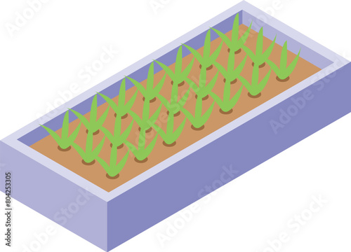 Balcony gardening box icon isometric vector. Flower plant. Exterior decoration