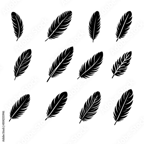 feather pen and feathers icon photo