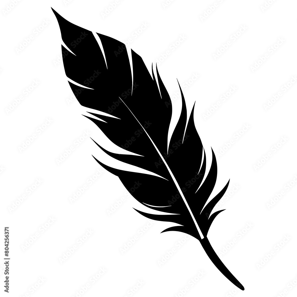 Obraz premium silhouette of a feather