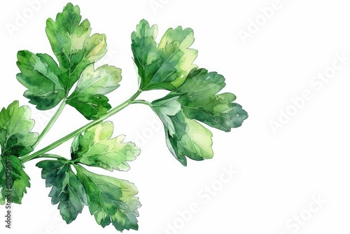 Pictures of a white, isolated leaf tree with mint and celery. Generative Ai