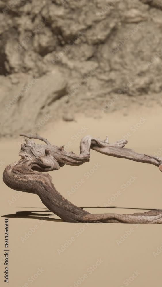 A stunning driftwood sculpture on the beach with a mesmerizing rock formation backdrop A stunning driftwood sculpture on the beach with a mesmerizing rock formation backdrop